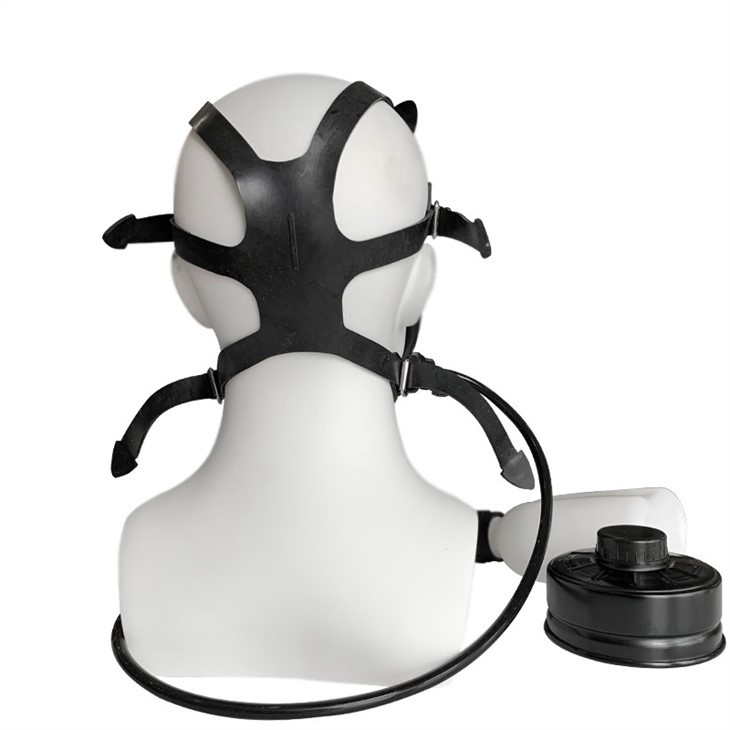 Gas Mask With CS Protection Filters And Canteen